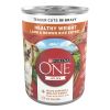 Purina One +Plus Lamb and Brown Rice Wet Dog Food, 13 oz Cans (12 Pack)