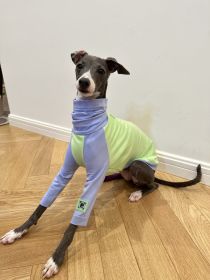 Color Matching Cotton T-shirt Vest Linton Terrier Clothes (Option: Fluorescent Green-3 Yards)