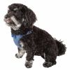 Pet Life 'Flam-Bowyant' Mesh Reversible And Breathable Adjustable Dog Harness W/ Designer Bowtie